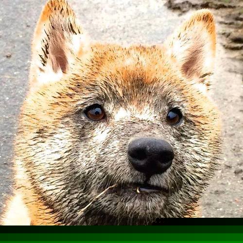 大型悬崖落水跳水赛，惊险刺激挑战极限，悬崖上跳水会死吗